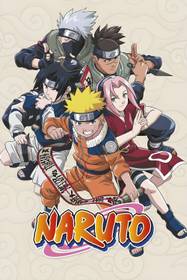 Naruto's Next Anime is Going to Destroy the Franchise's Biggest Criticism 1 Naruto (2002) TV Show Poster