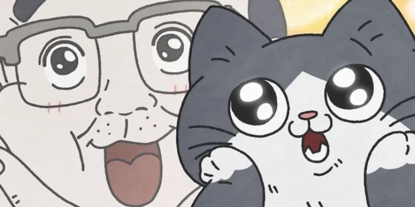 New Cat Anime Is Hilarious & Adorable In Trailer Every Fan Of All