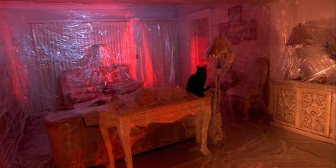A cat sits on top of a table covered in plastic in Dexter season 1, episode 3