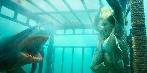 Shark Night 3D Summary, Trailer, Cast, Where to Watch and More