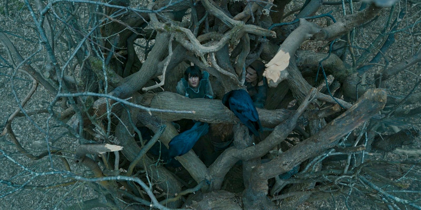 Theo trapped in a cage made of branches high up in a tree in The Lord of the Rings: The Rings of Power Season 2 Episode 4