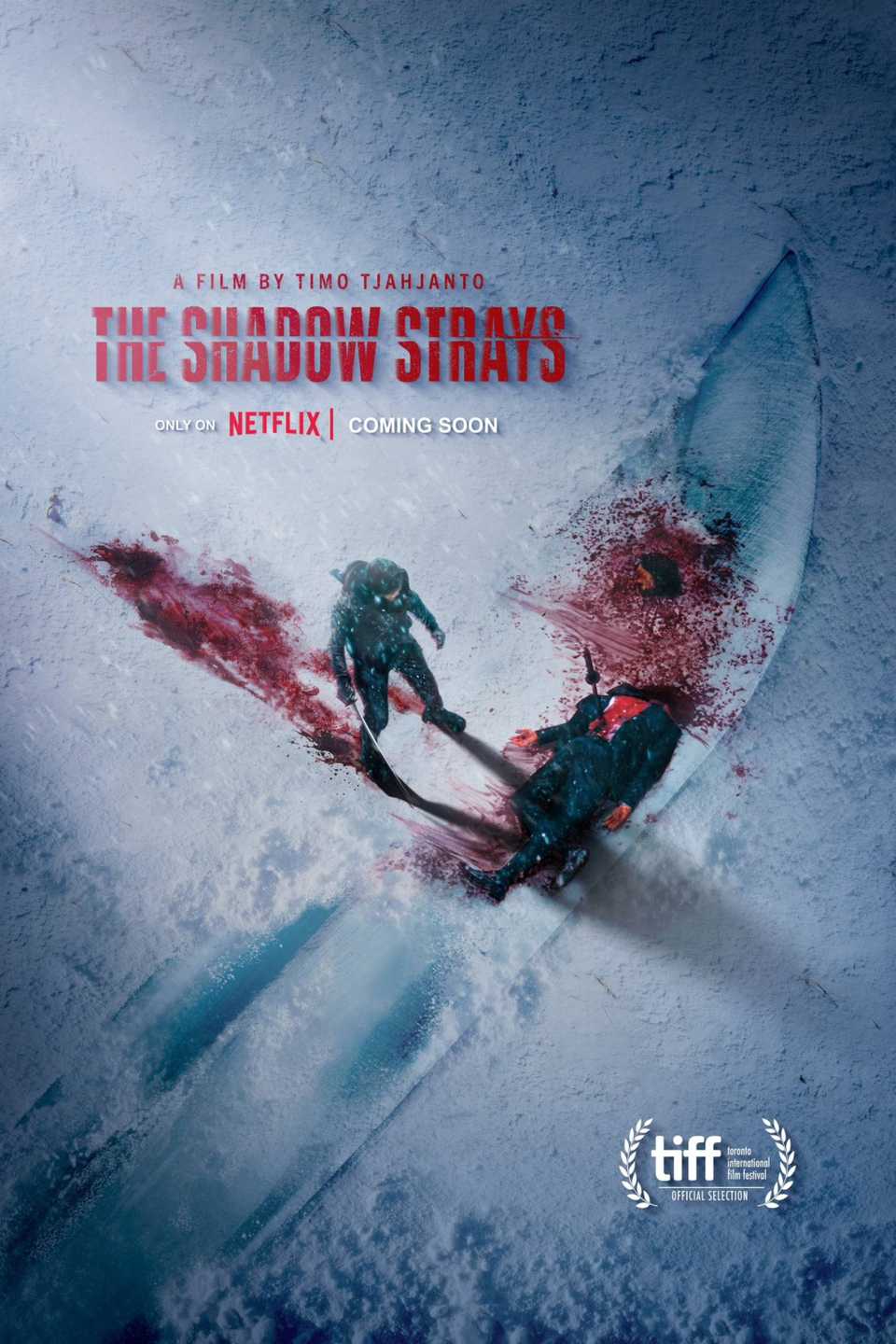 The Shadow Strays (2024) - Poster