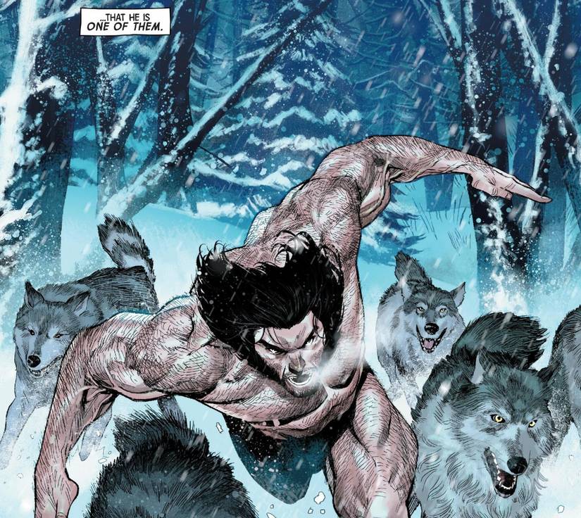 Marvel Settles Wolverine's 1 True X-Men Love, & It's Not Jean Grey (Or ...