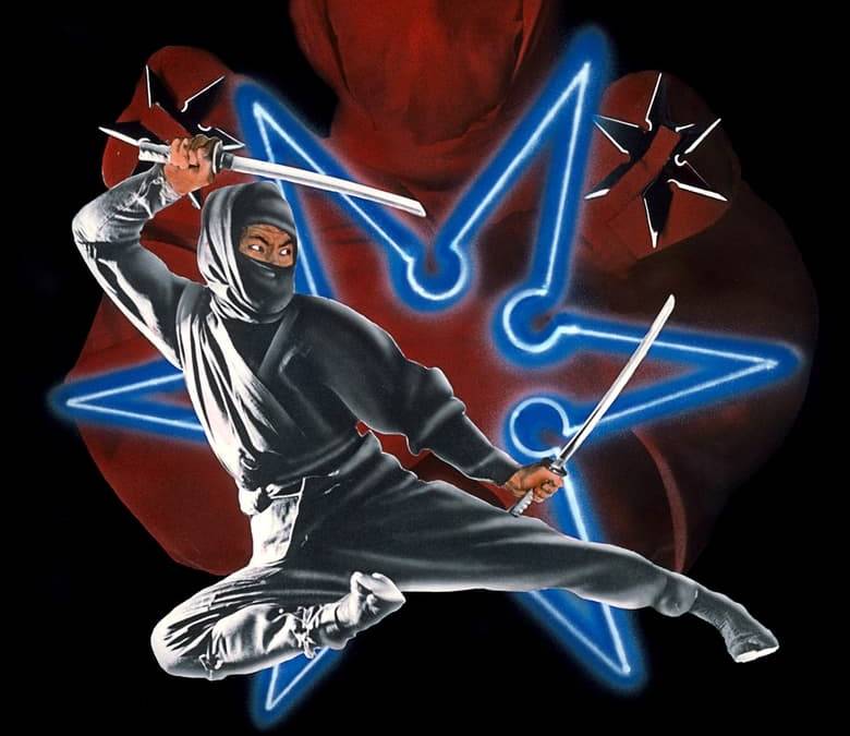 Enter the Ninja Summary, Trailer, Cast, Where to Watch and More