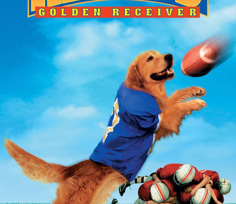 Air Bud: Golden Receiver Summary, Trailer, Cast, Where to Watch and More