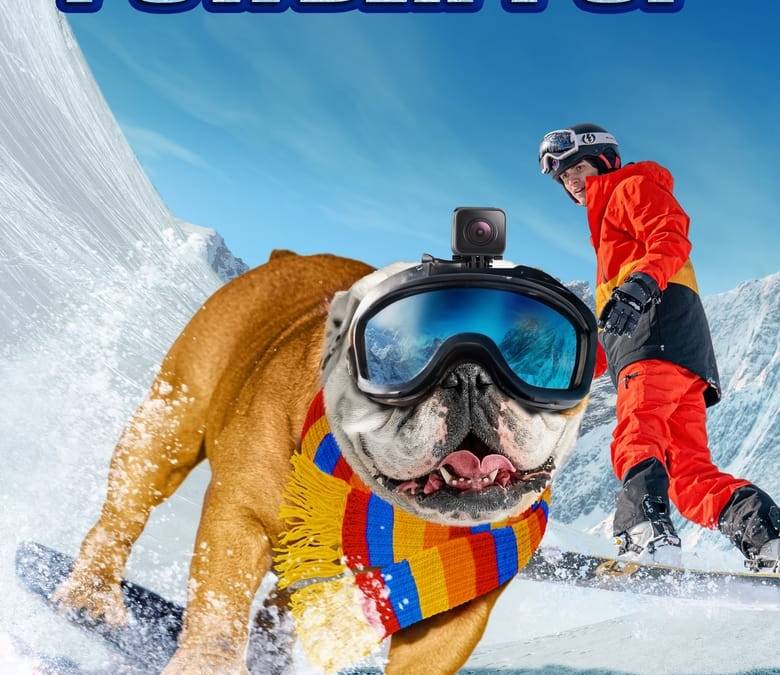Powder Pup Summary, Trailer, Cast, Where to Watch and More