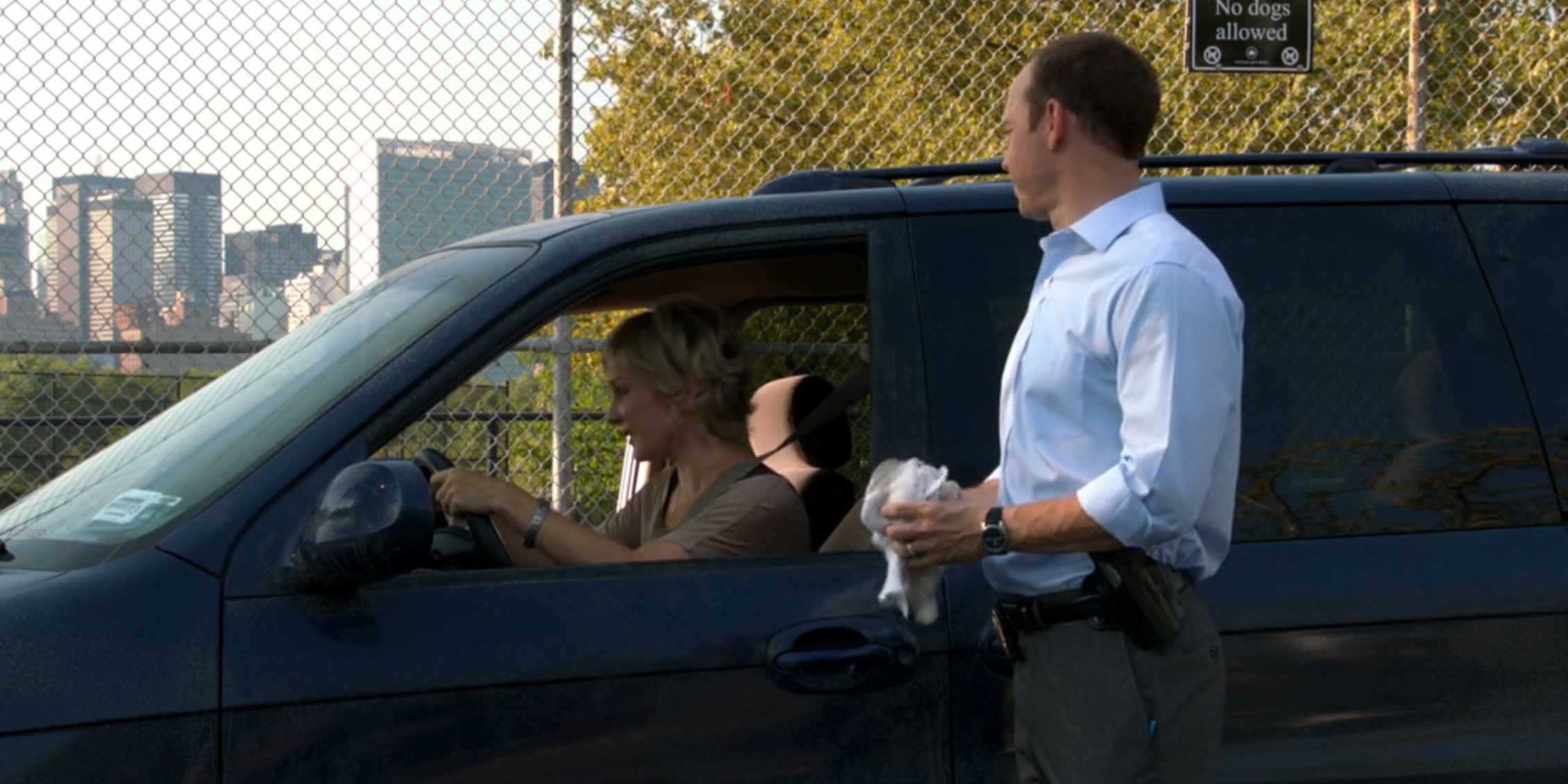 Blue Bloods Danny watches Linda drive off