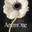 Anemone
