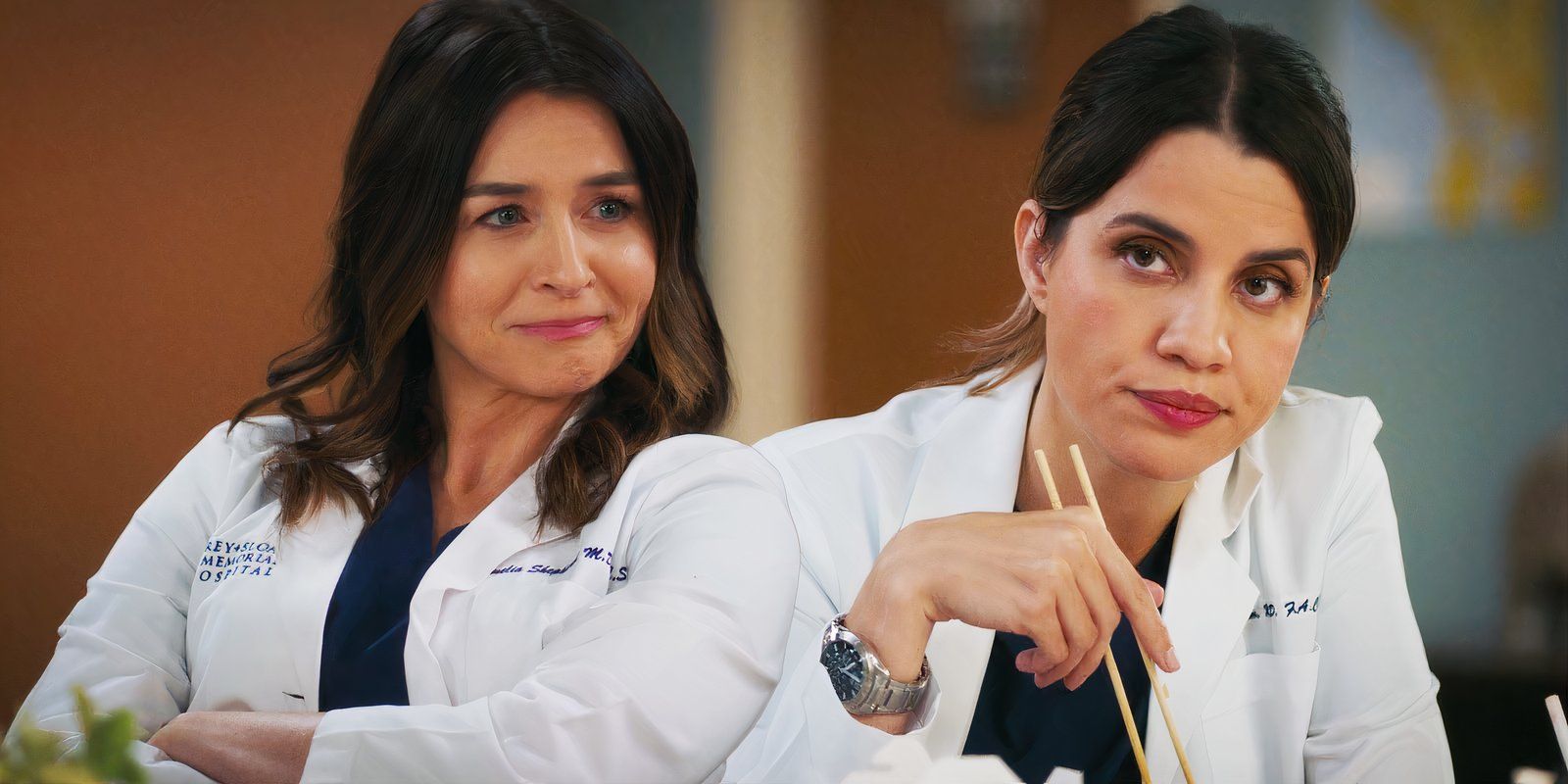 La temporada 21 de Grey's Anatomy establece el futuro romántico de Amelia y Monica a pesar de la retorcida confesión de Winston