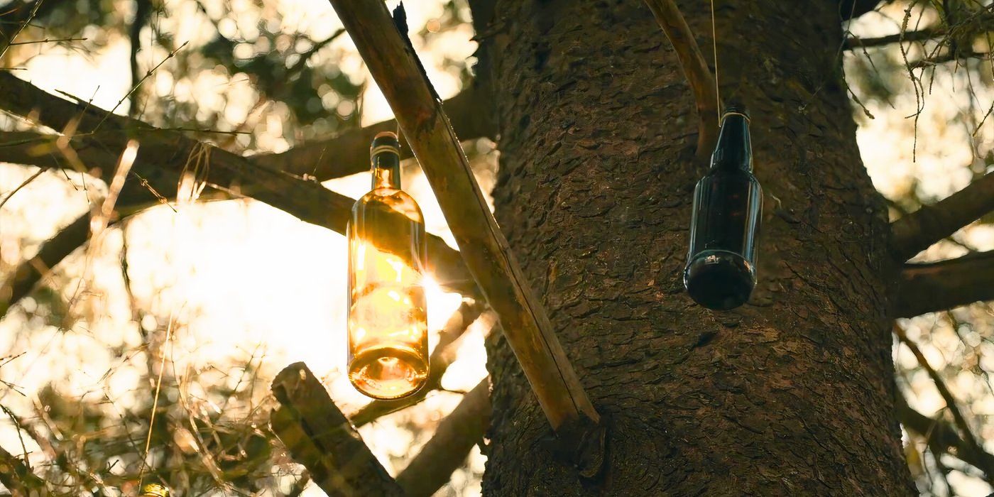 Close-up of Miranda's bottle tree in From season 3, episode 3