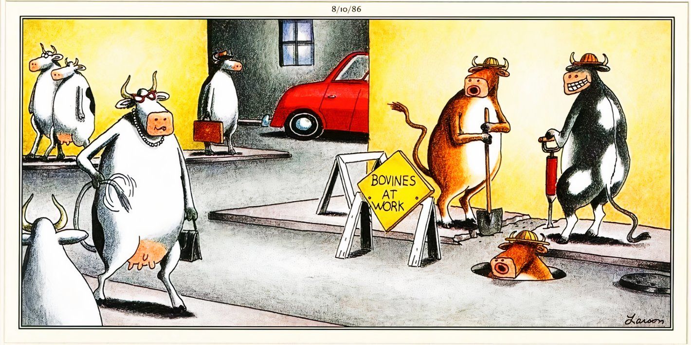 Far Side, August 10, 1986, bulls catcalling a cow as she walks by on a city street