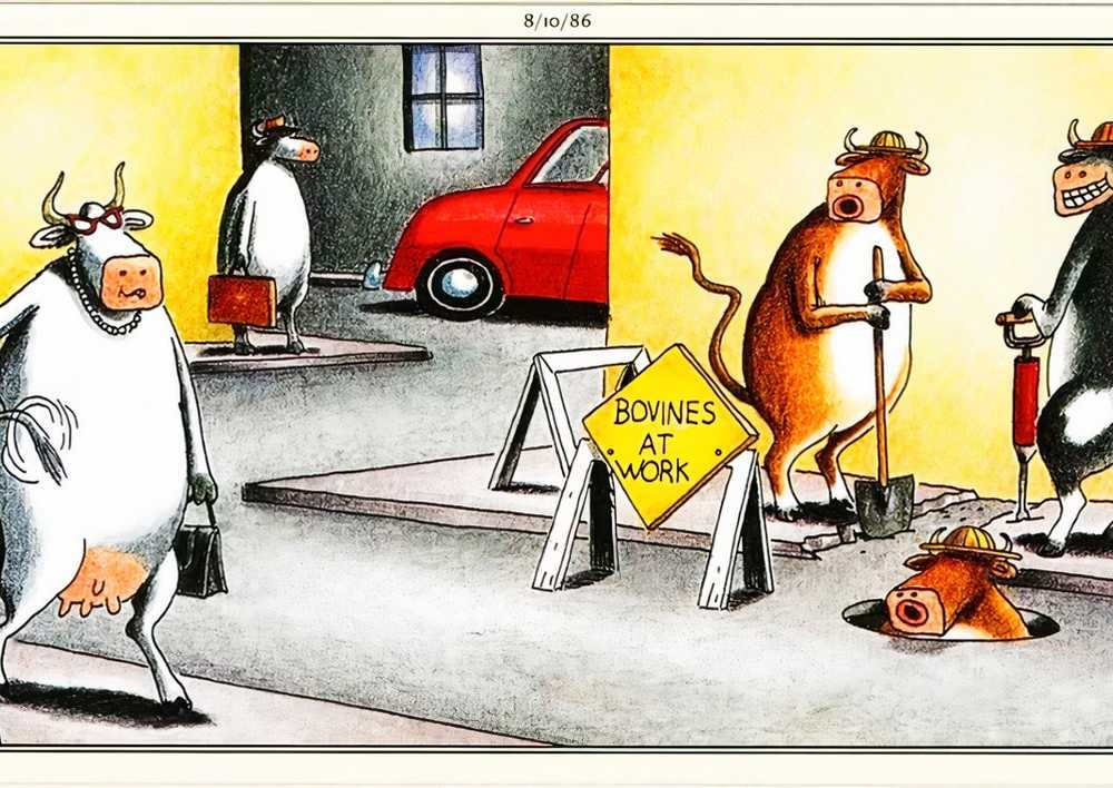 Far Side, August 10, 1986, bulls catcalling a cow as she walks by on a city street