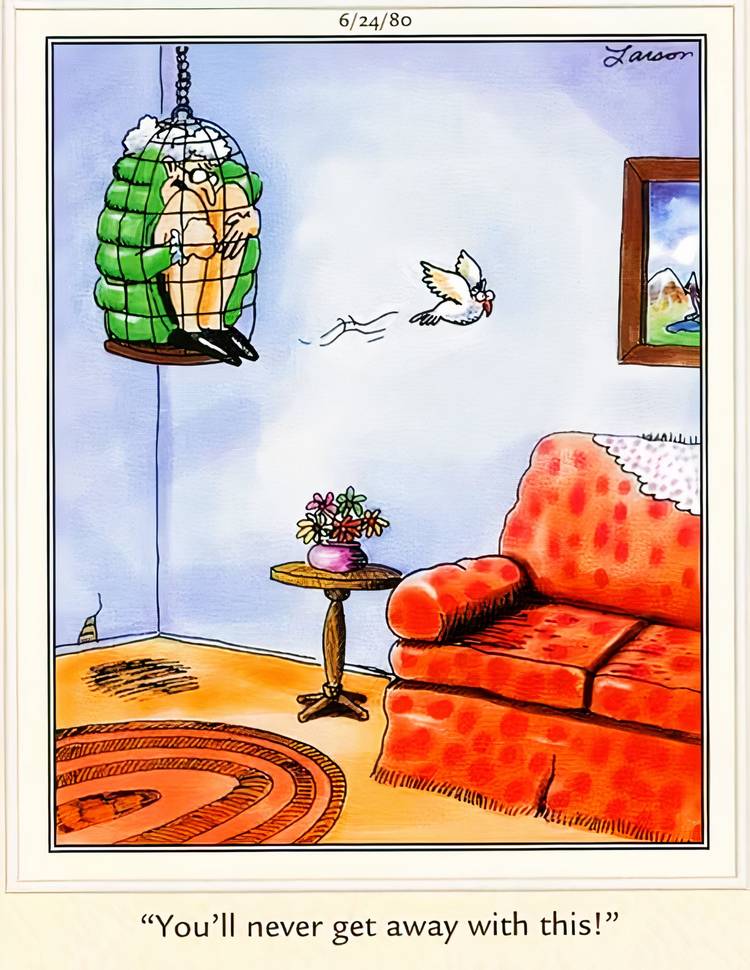 Far Side, June 24, 1980, a bird flies free after stuffing its owner in its too-small cage.