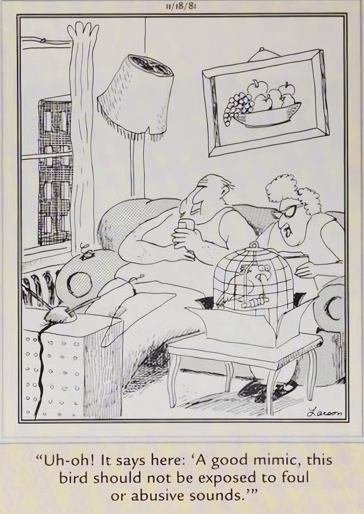 Far Side, November 11, 1981, a wife tells her husband their new pet bird shouldn't be exposed to foul language