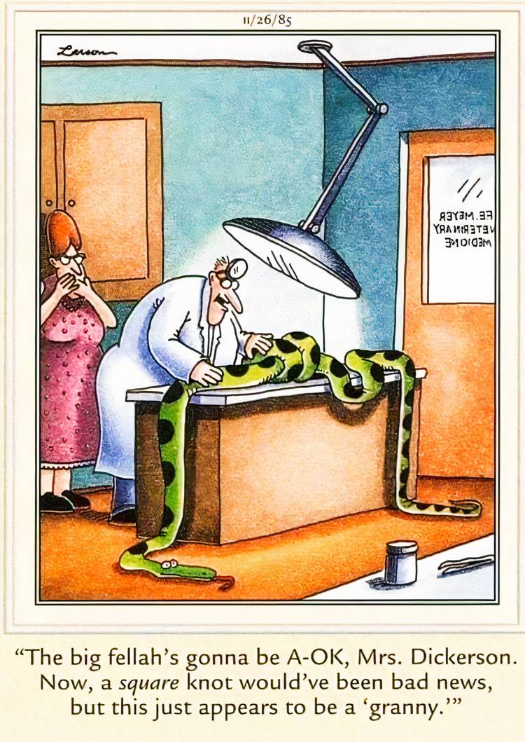 10 Funniest Far Side Comics With Likable Protagonists