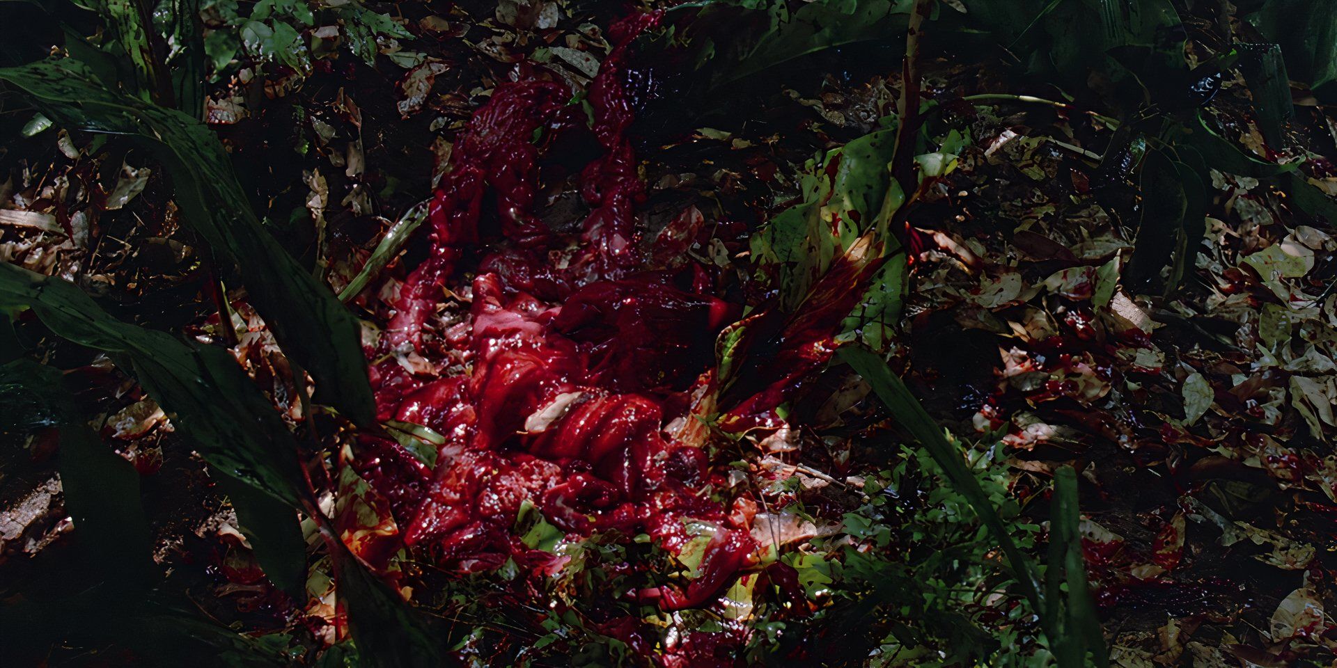 Every Death In 1987s Predator, Ranked By Brutality