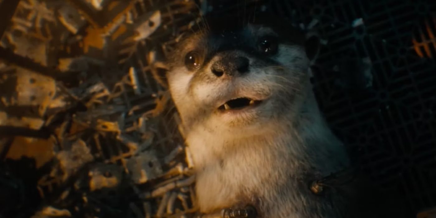 Amigos de Rocket Racoon em Guardiões da Galáxia Vol. 3