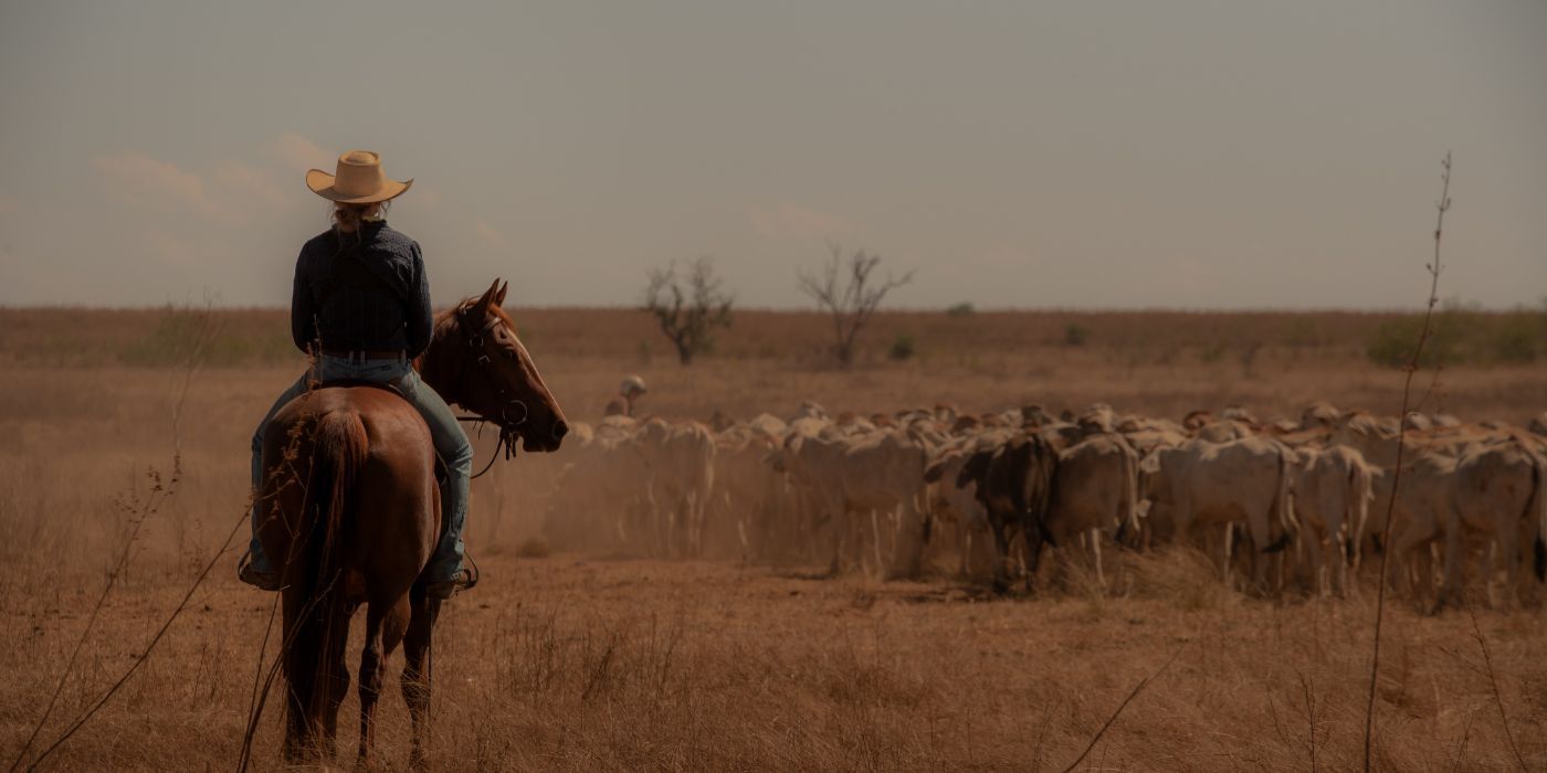 Why Marshall Really Runs Away After Daniel's Death In Territory Season 1