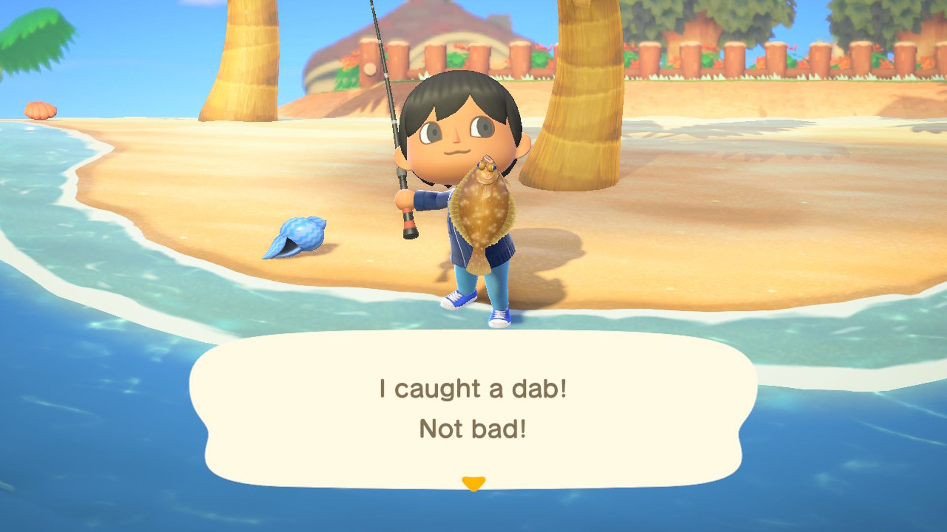 Jogador masculino exibindo salpicos capturados em praia ensolarada com concha azul e coqueiro em Animal Crossing New Horizons