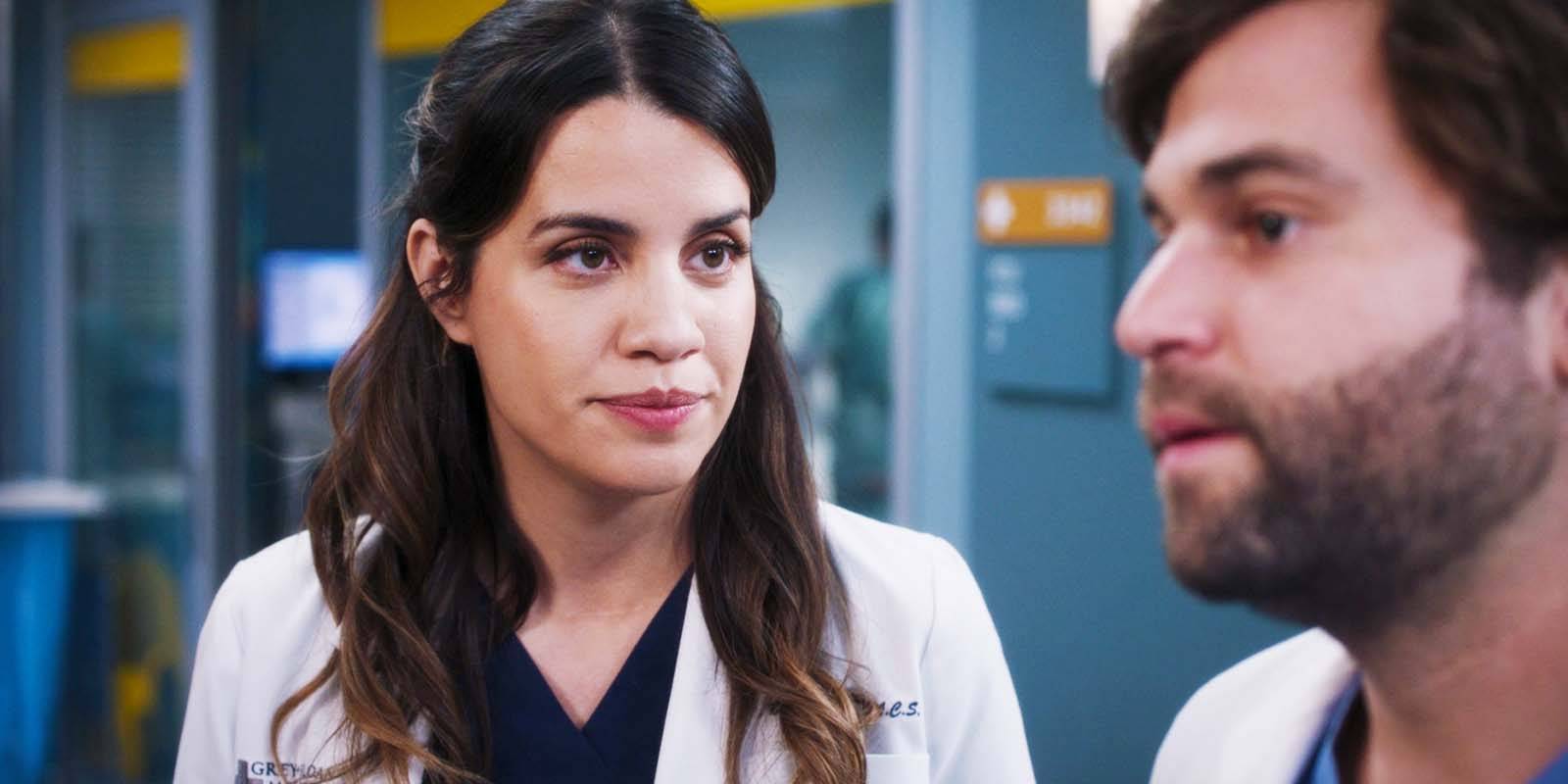 Grey's Anatomy's Forgotten Fan-Favorite Is The Perfect Character To Launch ...