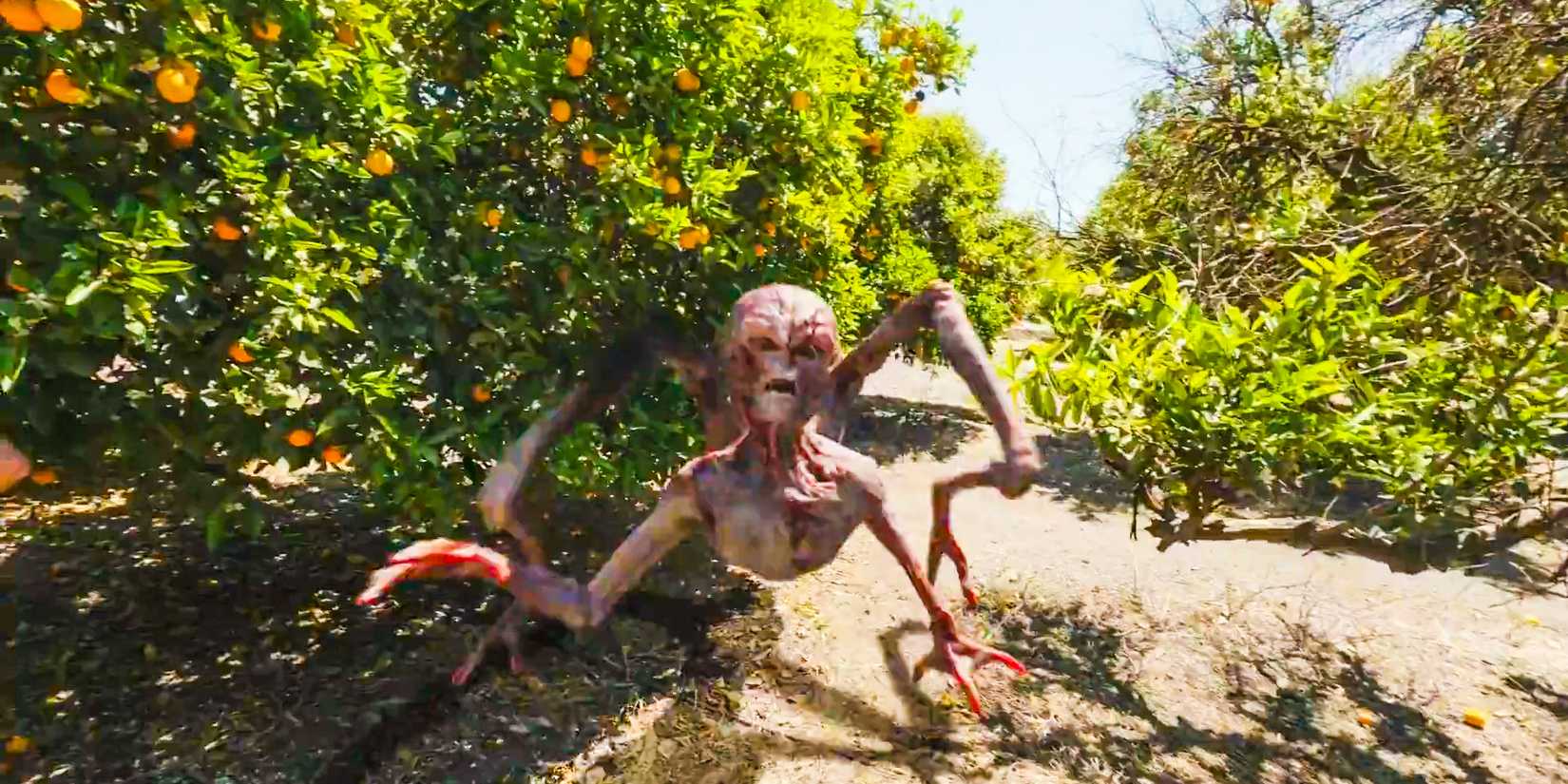 An alien in an orange field in V/H/S/Beyond