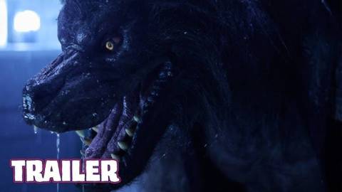 Werewolves Summary, Trailer, Cast, Where to Watch and More