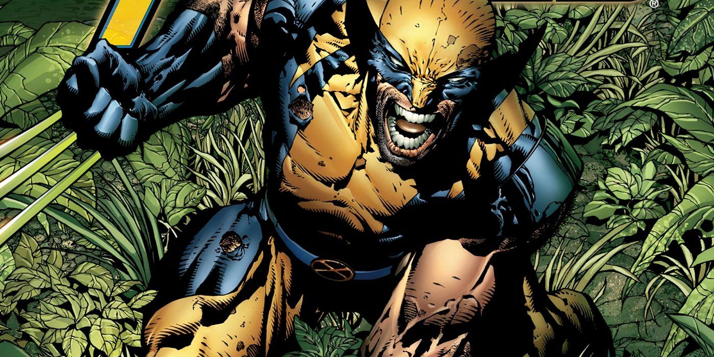 Wolverine Officially Confirms His Canon Height, And the Combat ...