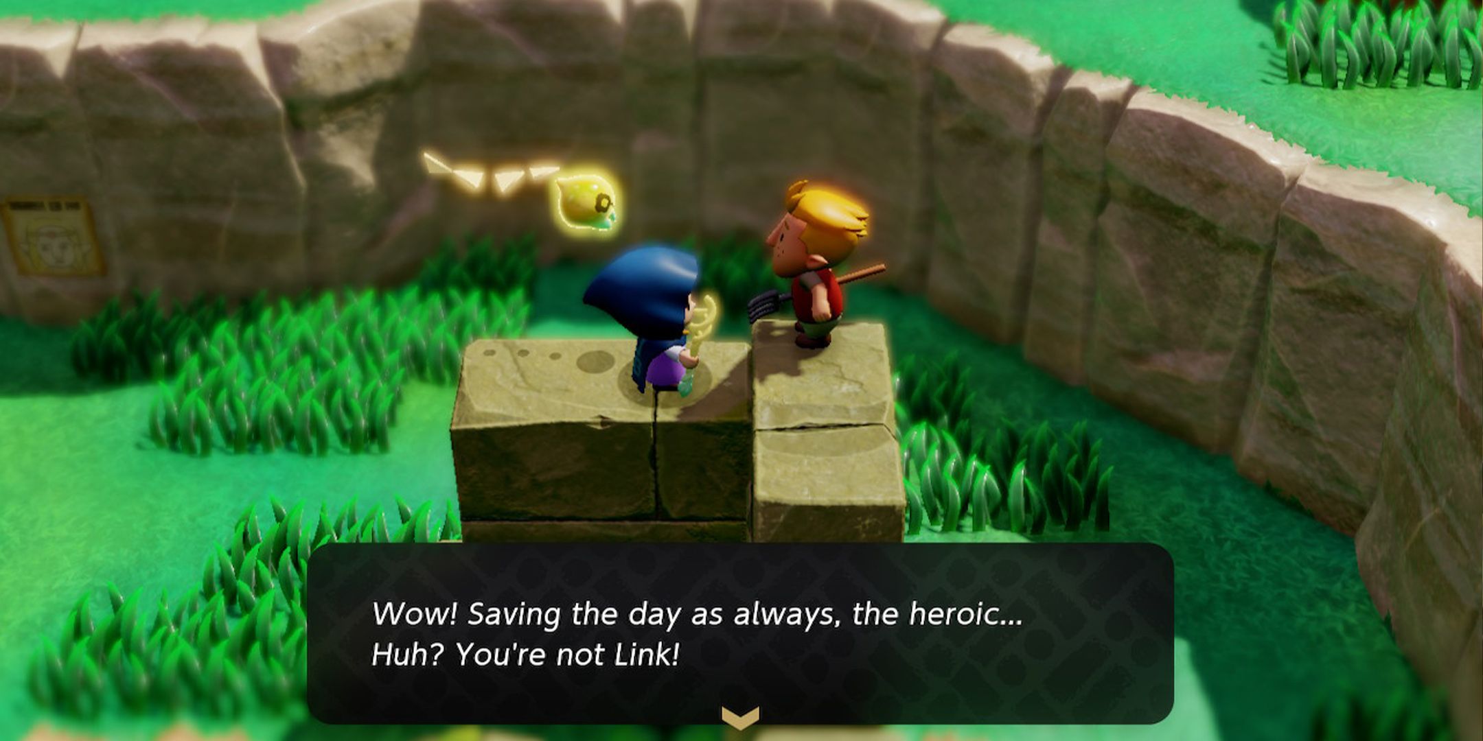 Los NPC de Zelda: Echoes Of Wisdom son incluso más tontos que los de TOTK