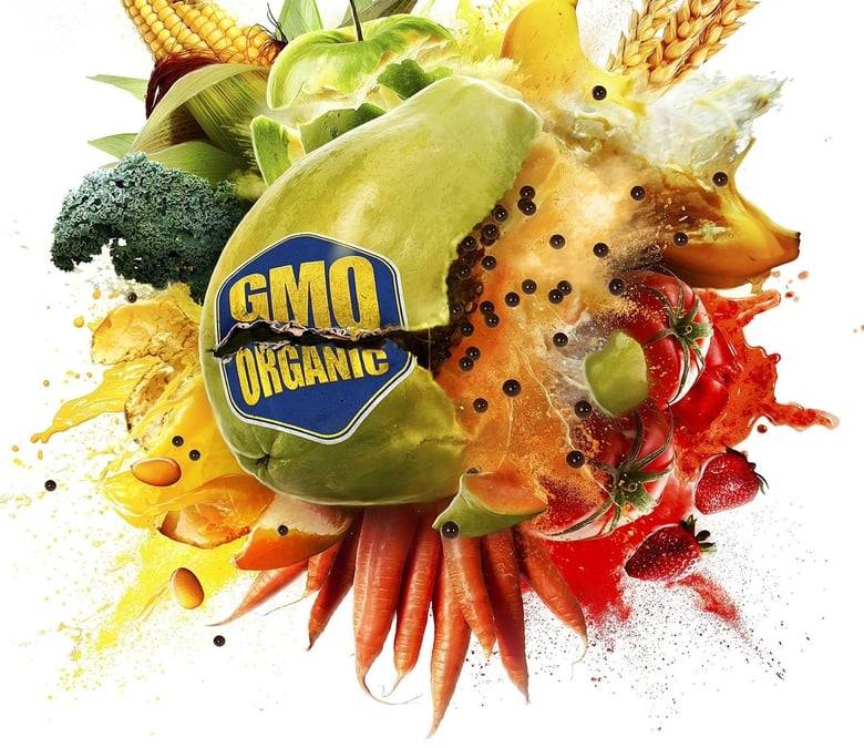 Food Evolution Summary, Trailer, Cast, Where to Watch and More