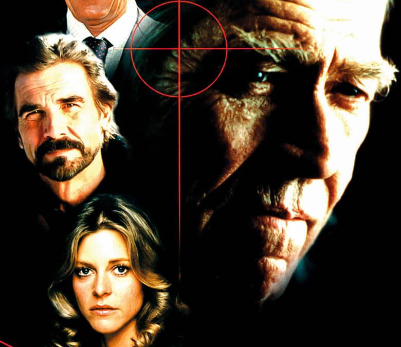 High Risk Summary, Trailer, Cast, Where to Watch and More