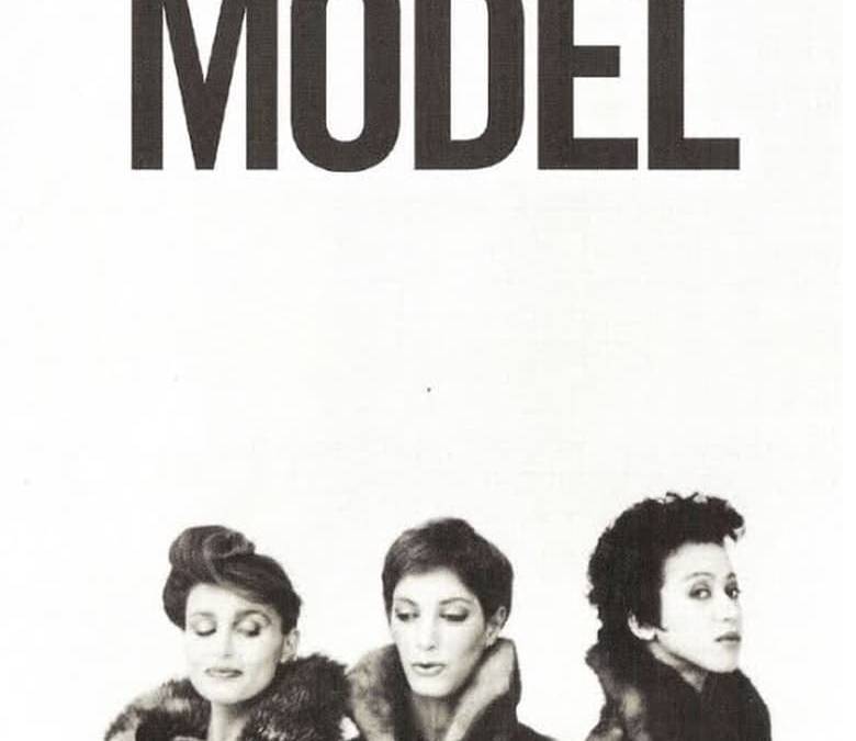 Model Summary, Trailer, Cast, Where to Watch and More