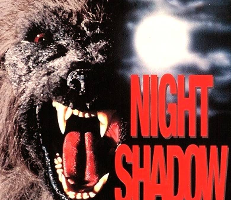 Night Shadow Summary, Trailer, Cast, Where to Watch and More