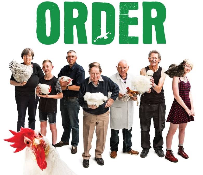 Pecking Order Summary, Trailer, Cast, Where to Watch and More