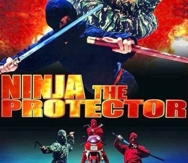 Ninja the Protector Summary, Trailer, Cast, Where to Watch and More