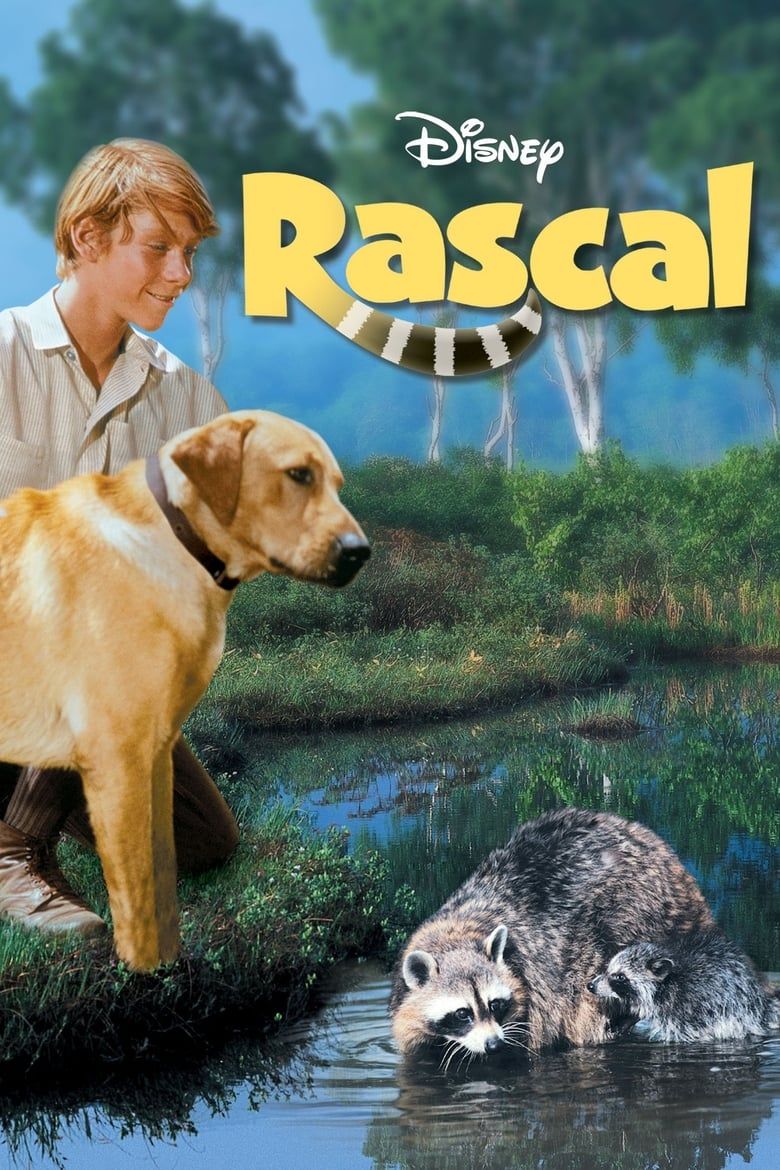 Rascal Summary, Trailer, Cast, Where to Watch and More