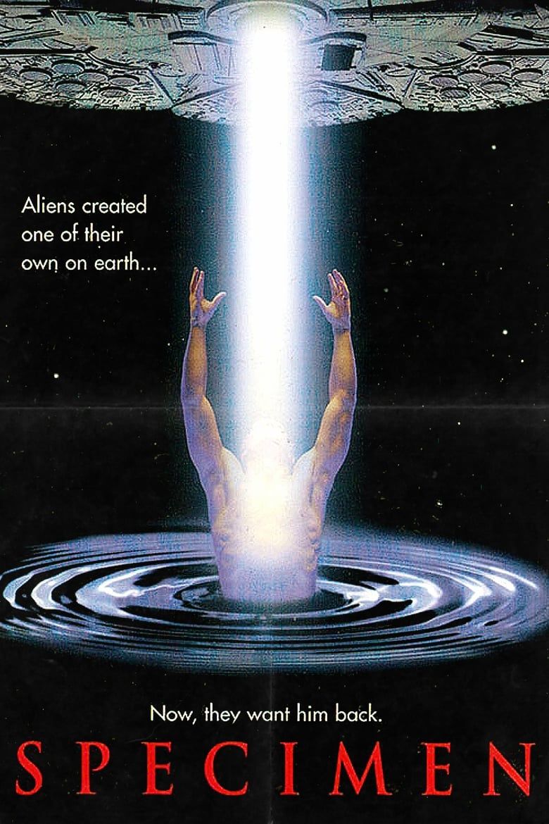 Specimen Summary, Trailer, Cast, Where to Watch and More