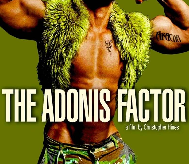 The Adonis Factor Summary, Trailer, Cast, Where to Watch and