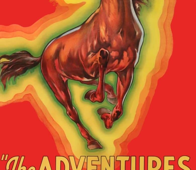 The Adventures of Rex and Rinty Summary, Trailer, Cast, Where to Watch ...