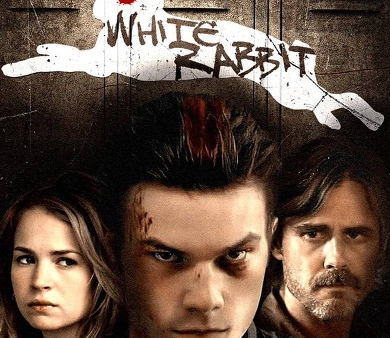 White Rabbit Summary, Trailer, Cast, Where to Watch and More