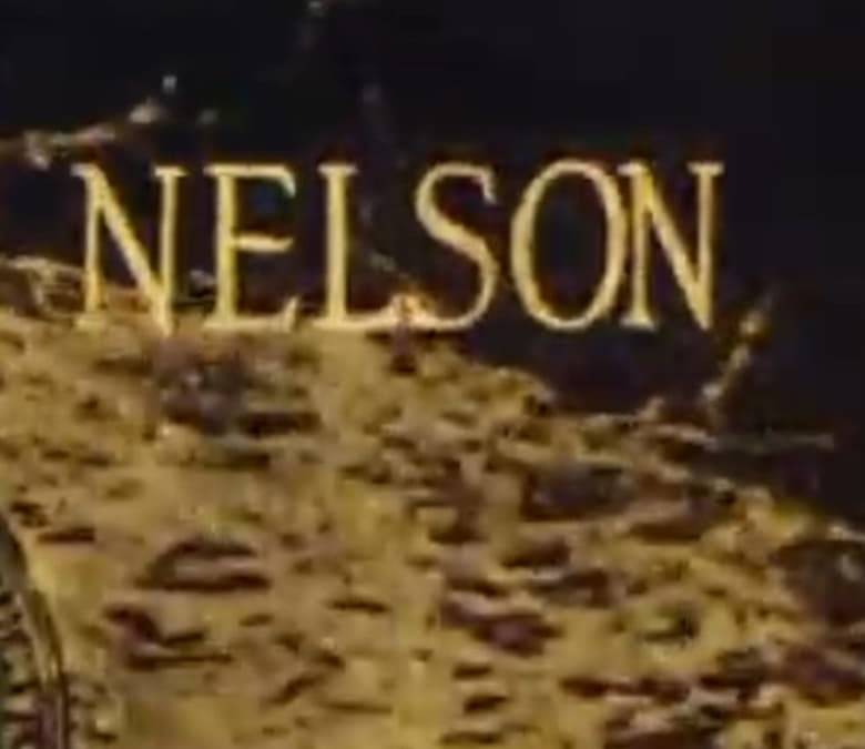 Neldon Nelson Summary, Trailer, Cast, Where to Watch and More