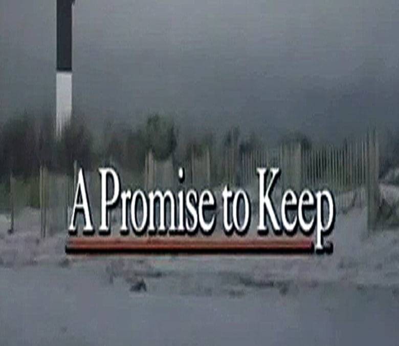 Promises to Keep Summary, Trailer, Cast, Where to Watch and More