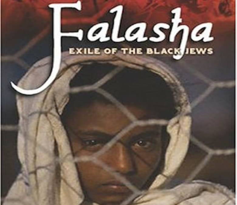 Falasha Summary, Trailer, Cast, Where to Watch and More