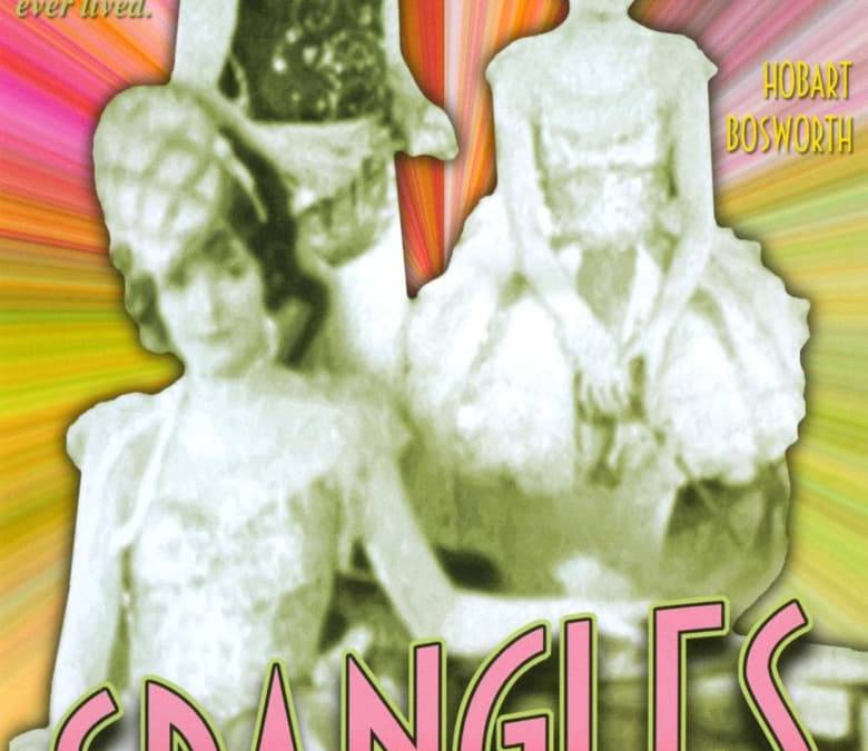 Spangles Brothers Spangles Summary, Trailer, Cast, Where to Watch and More