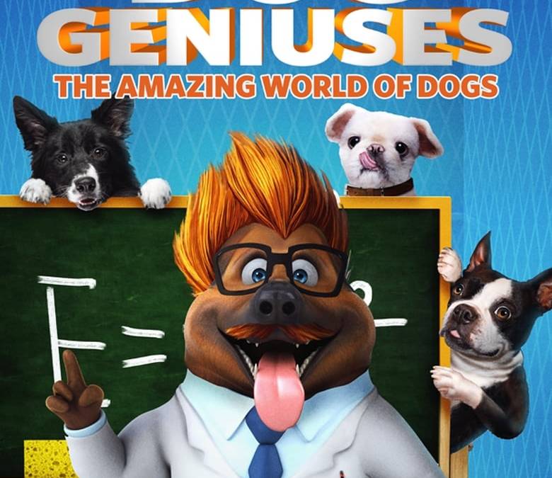 Dog Geniuses Summary, Trailer, Cast, Where to Watch and More