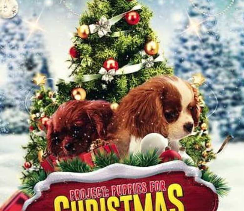 Project: Puppies for Christmas Summary, Trailer, Cast, Where to Watch ...