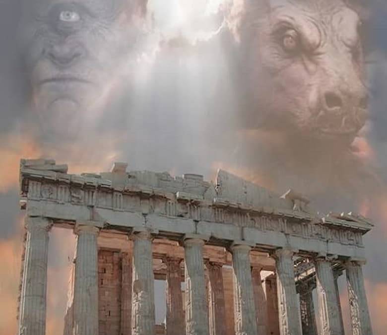 Farticus Summary, Trailer, Cast, Where to Watch and More