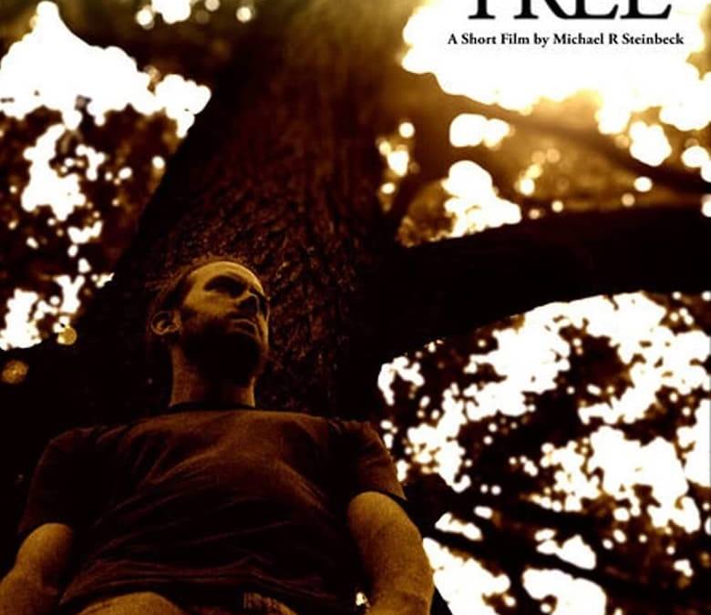 Netflix Tree Tree Summary, Trailer, Cast, Where to Watch and More