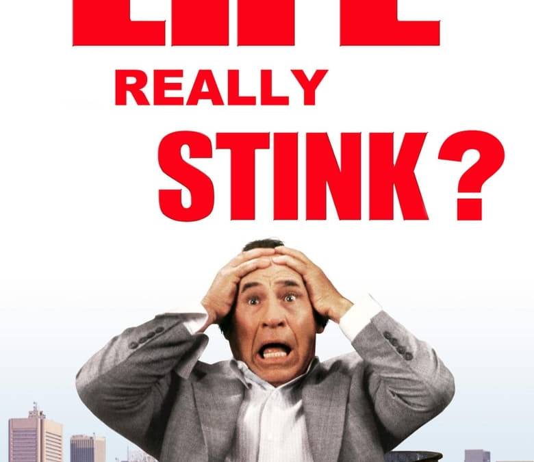Life Stinks: Does Life Really Stink? Summary, Trailer, Cast, Where to ...