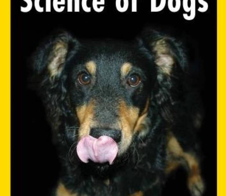 National Geographic Explorer: Science of Dogs Summary, Trailer, Cast ...