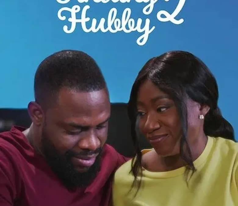 Finding Hubby 2 Summary, Trailer, Cast, Where to Watch and More